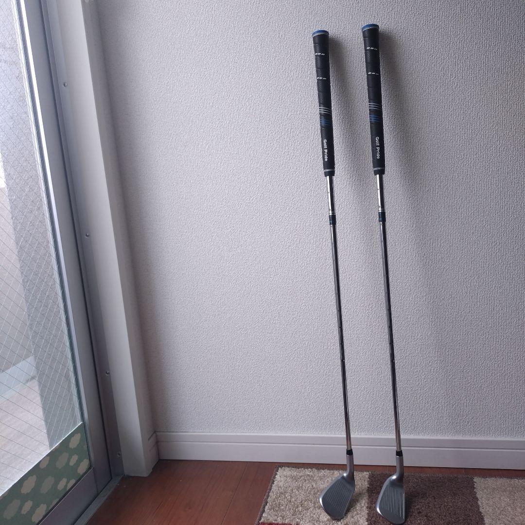 Dolphin Flying Wedge 119 2本セット 55度 39度