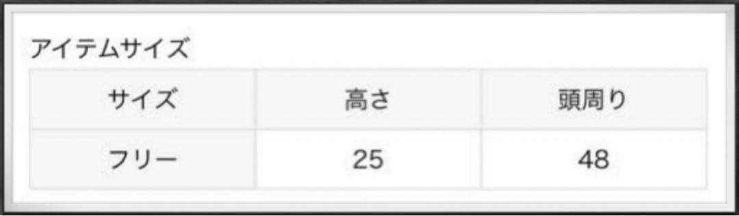 完売カラー☆L'Appartement LANEUSラネウス BEANIE☆新品