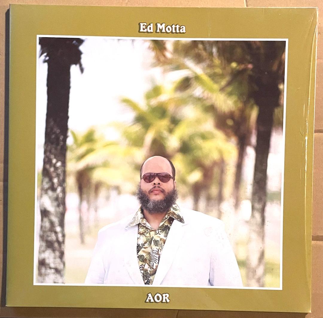 美品 Ed Motta AOR アナログ盤 送料込 Steely Danサウンド