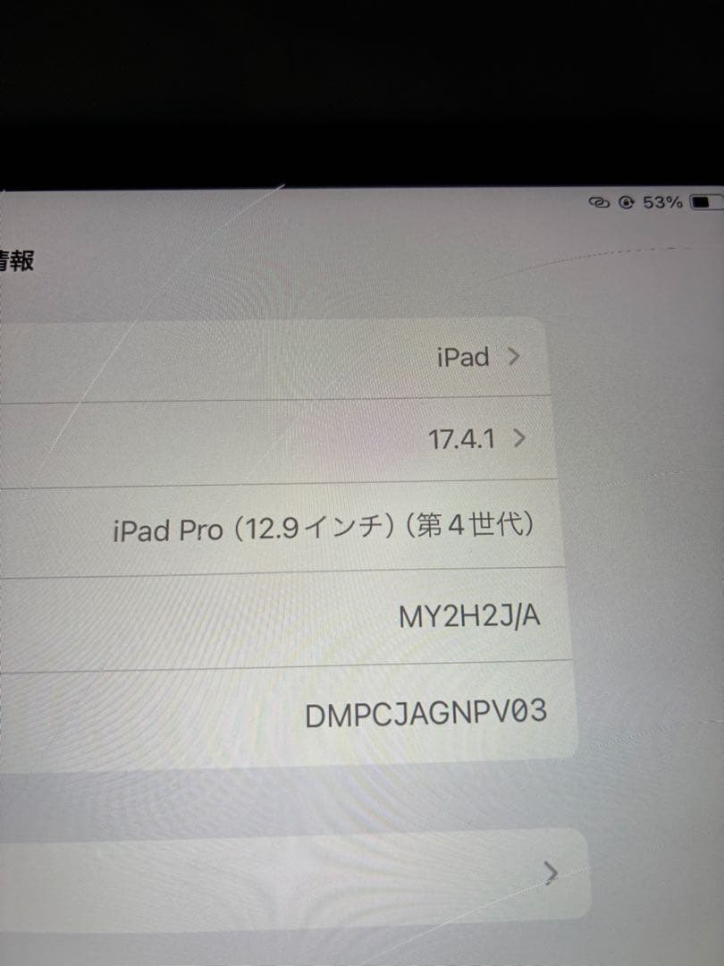 り*ご様 【ジャンク】iPad Pro 12.9インチ 第4世代 128GB
