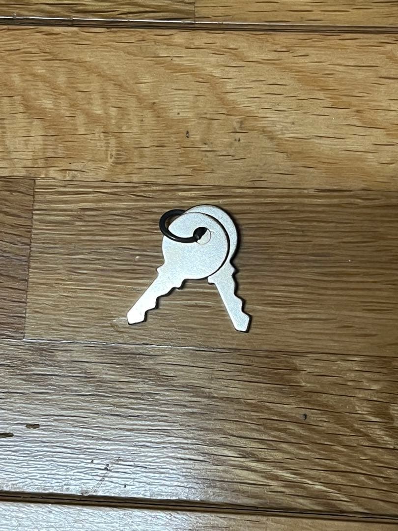 【Louis Vuitton】ボストンバッグ 大容量　ブラウン