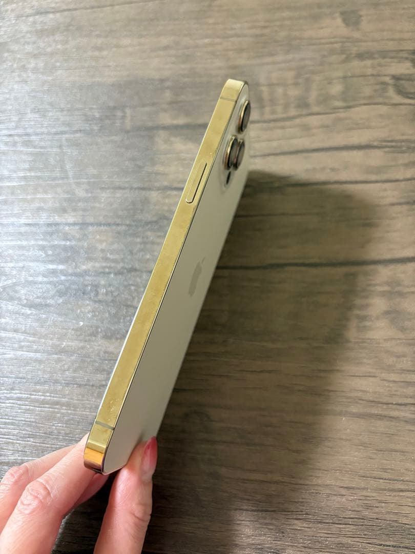 【志】 iPhone12 ProMax 256GB