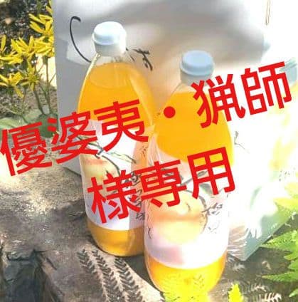 優婆夷・猟師愛媛みかん100%丸搾りジュース12本減農薬栽培