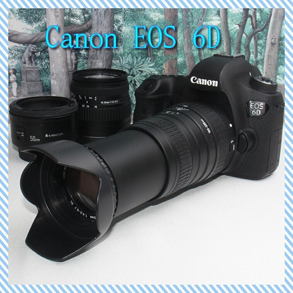 ☆はじめてのフルサイズ☆Canon EOS 6D 超望遠トリプルレンズセット