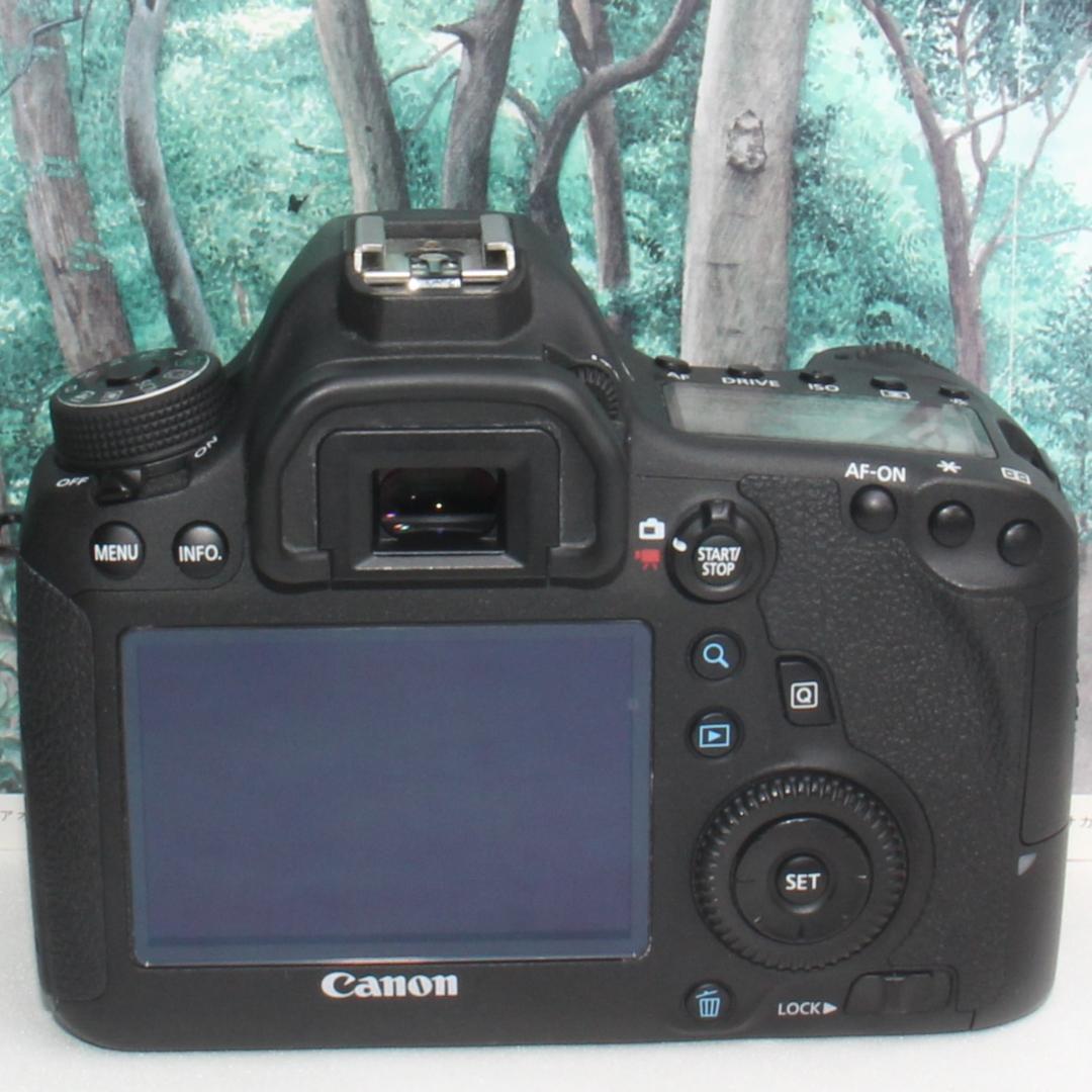 ☆はじめてのフルサイズ☆Canon EOS 6D 超望遠トリプルレンズセット