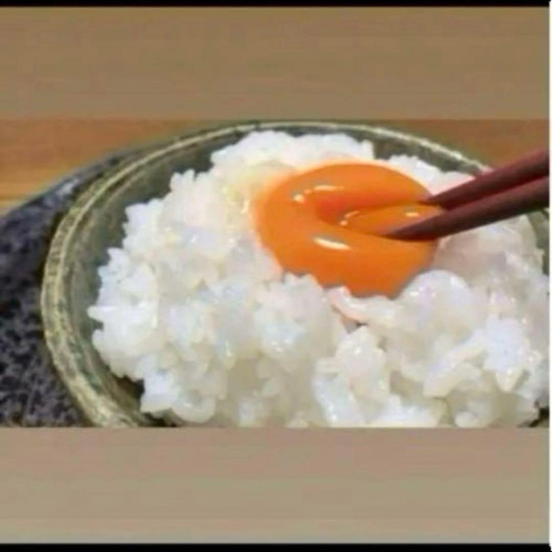 令和7年産 100%ヒノヒカリ玄米 10キロ　送料精米無料