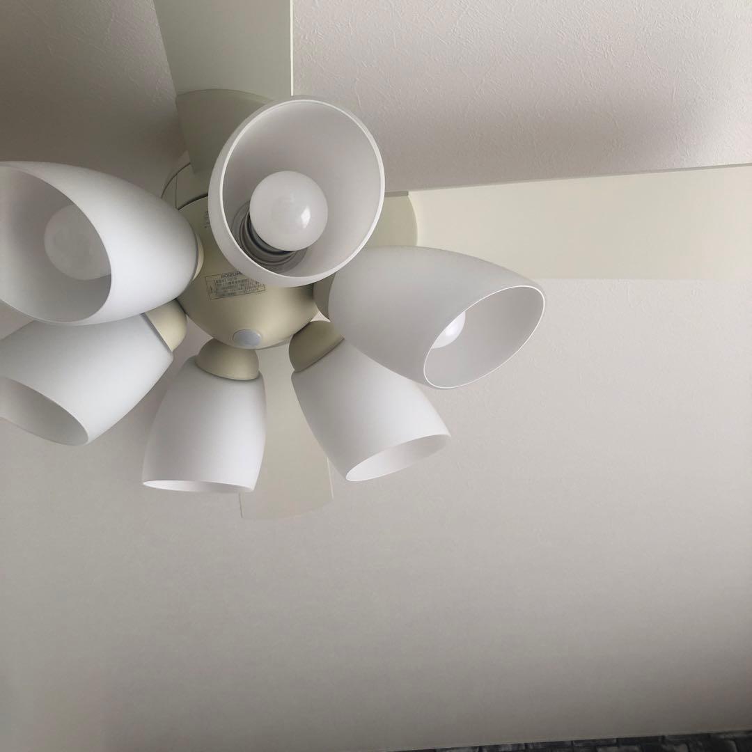 SIS シーリングファンライト プライウッド 42インチシーリングファン