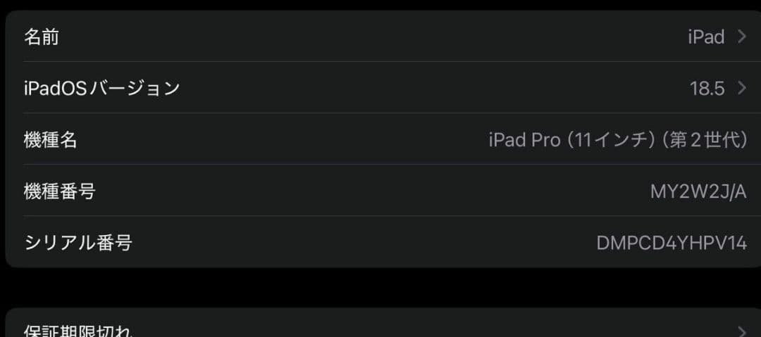 iPad Pro11 128G 第2世代 Cellular シルバー