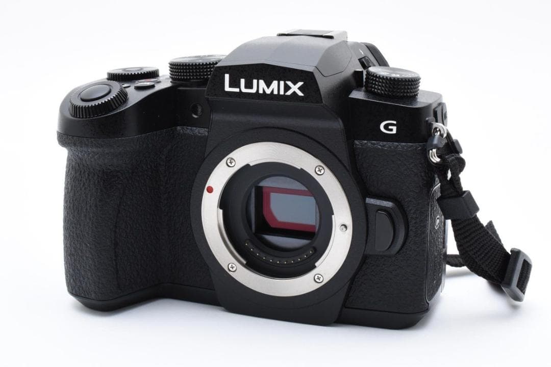 超美品　　2782ショット　LUMIX DC-G99D ミラーレス一眼カメラ