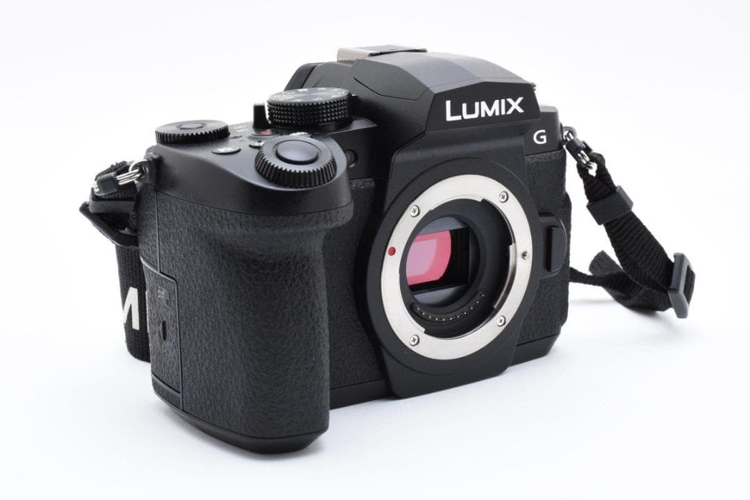 超美品　　2782ショット　LUMIX DC-G99D ミラーレス一眼カメラ