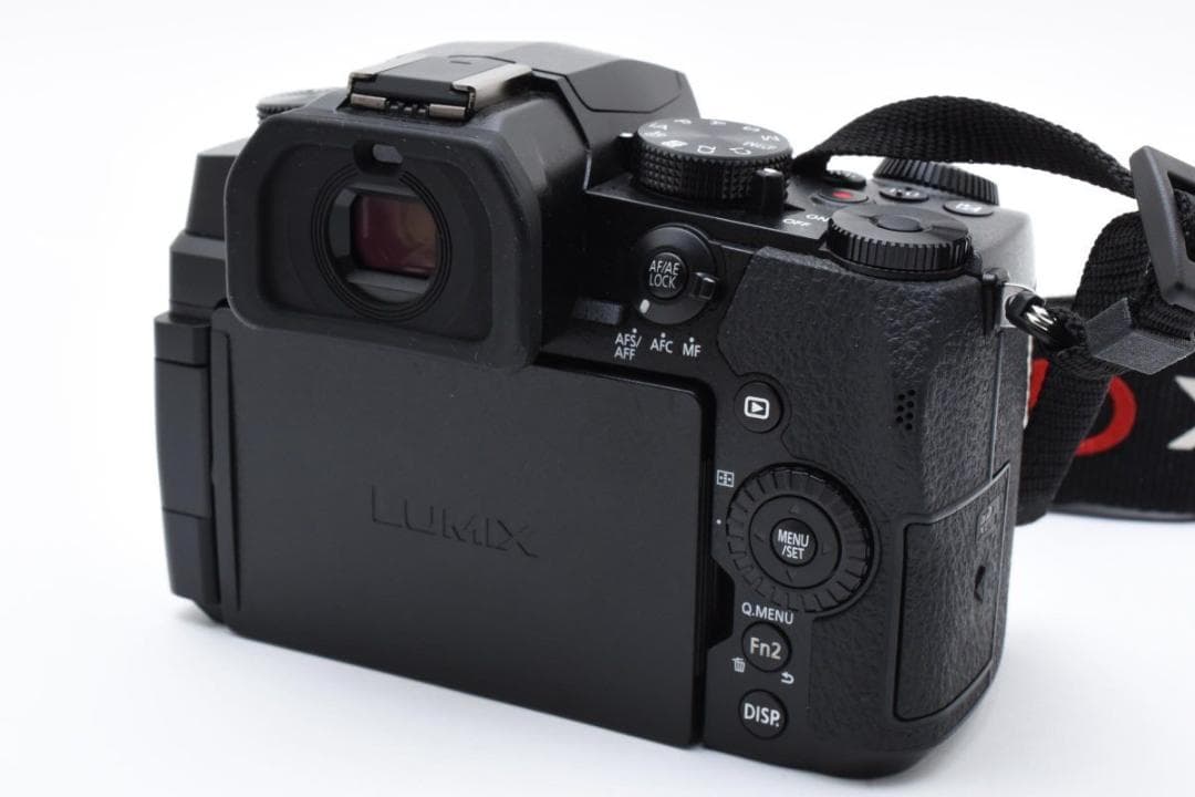 超美品　　2782ショット　LUMIX DC-G99D ミラーレス一眼カメラ