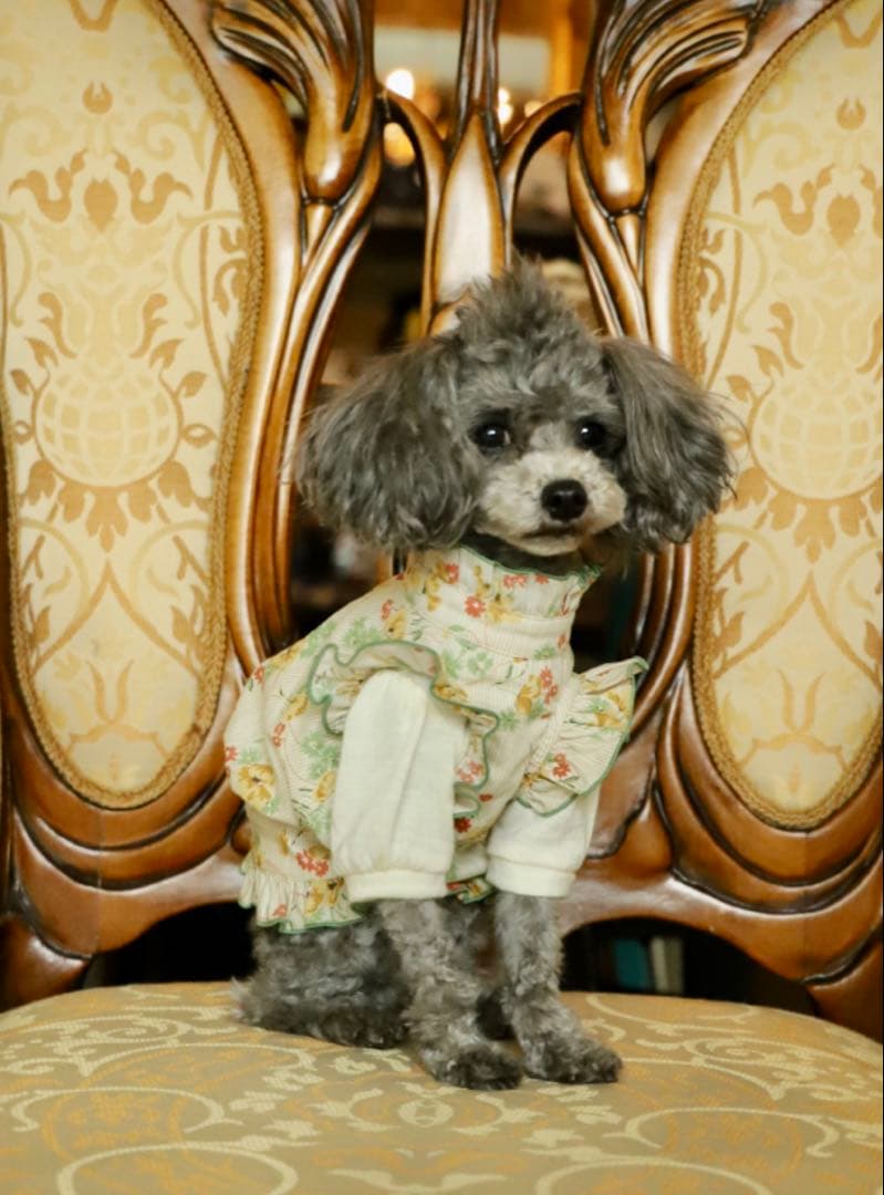 atelier gg アトリエgg ガーデンブーケ ブラウス