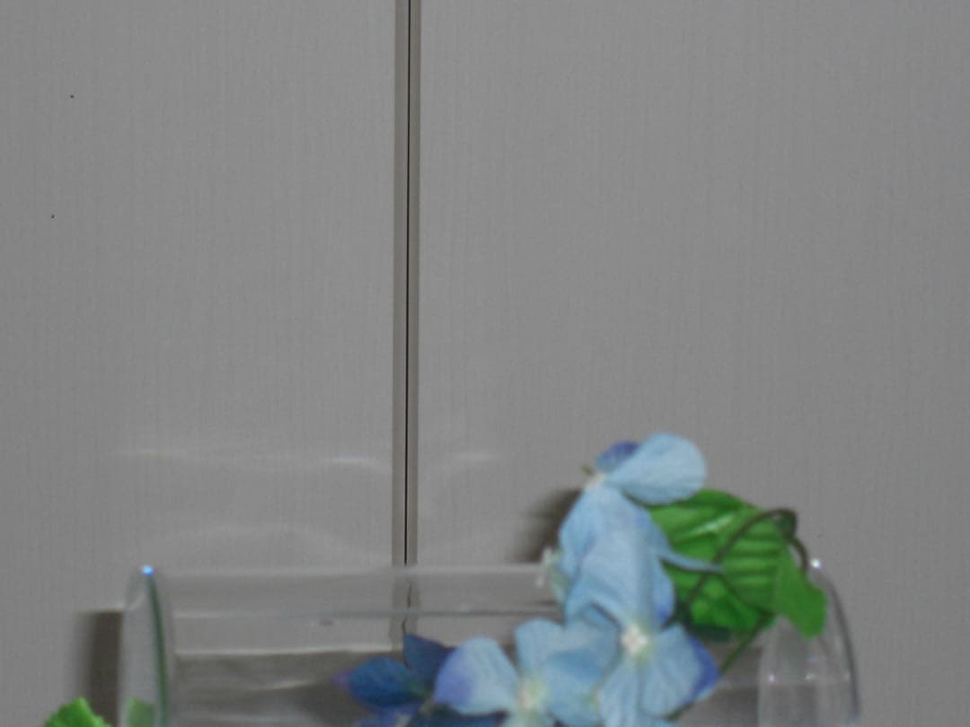 CASIO カメラ　EX-Z1050 SDカード　説明書 コンデジ　動作品