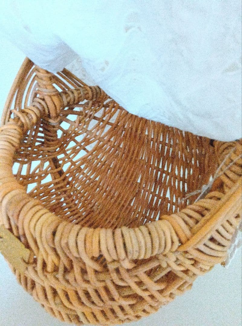 新品タグ付き堀川波さんdot to dotアンティークレース付きカゴバッグ