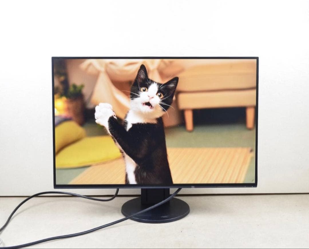 超狭額 EIZO EV2456 24型 WUXGA HDMI IPS スピーカー