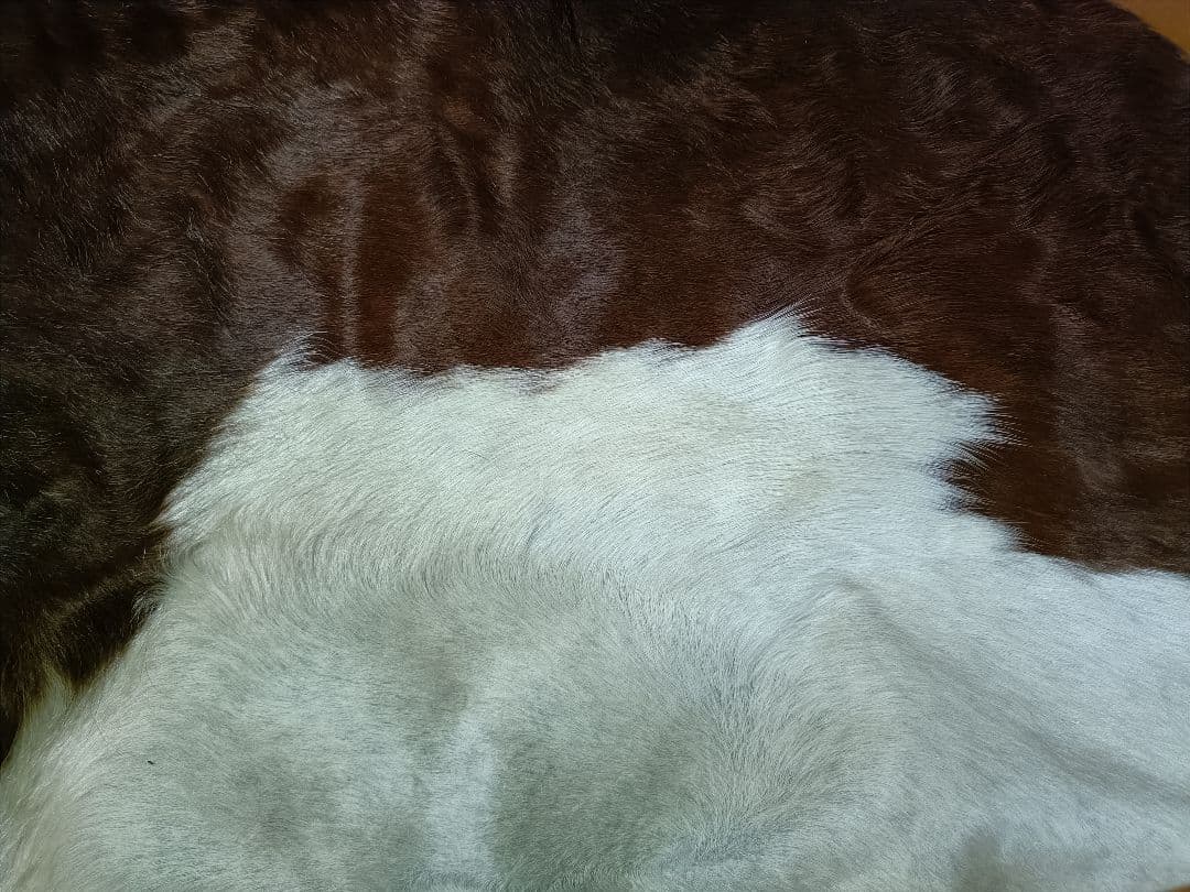 天然毛皮ラグ 5枚セット カウ ゴートスキン ムートン インテリア 北欧風