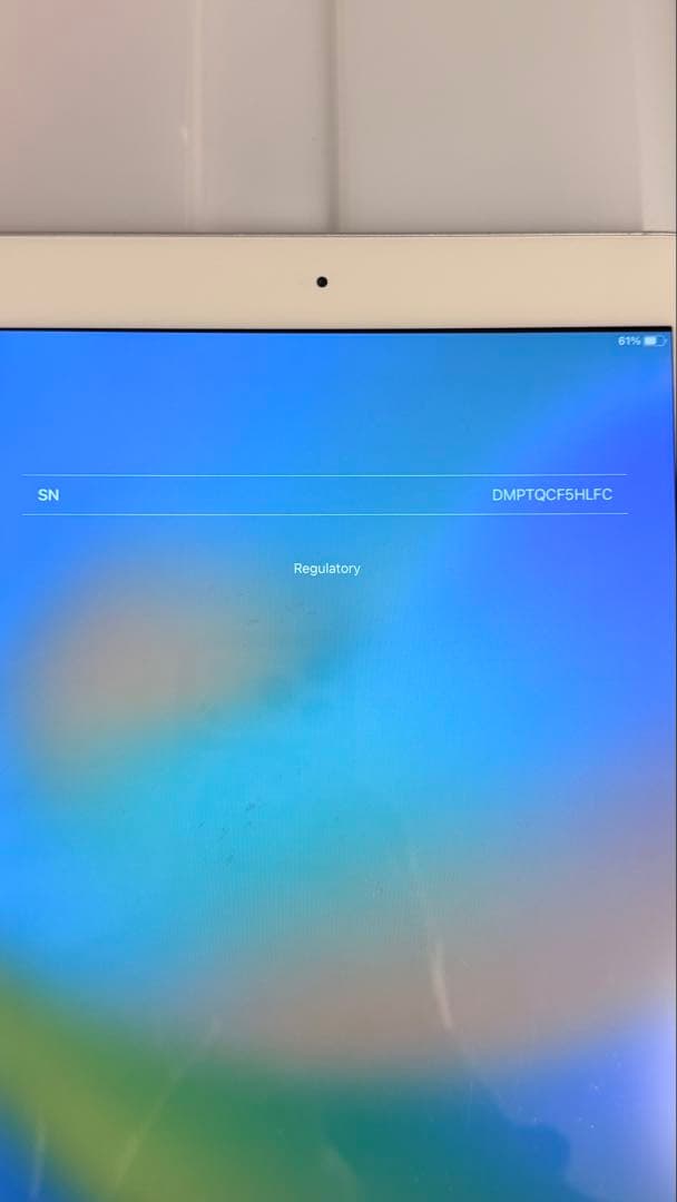 iPad 第5世代 64GB Wi-Fiモデル 動作良好 子供用におすすめ