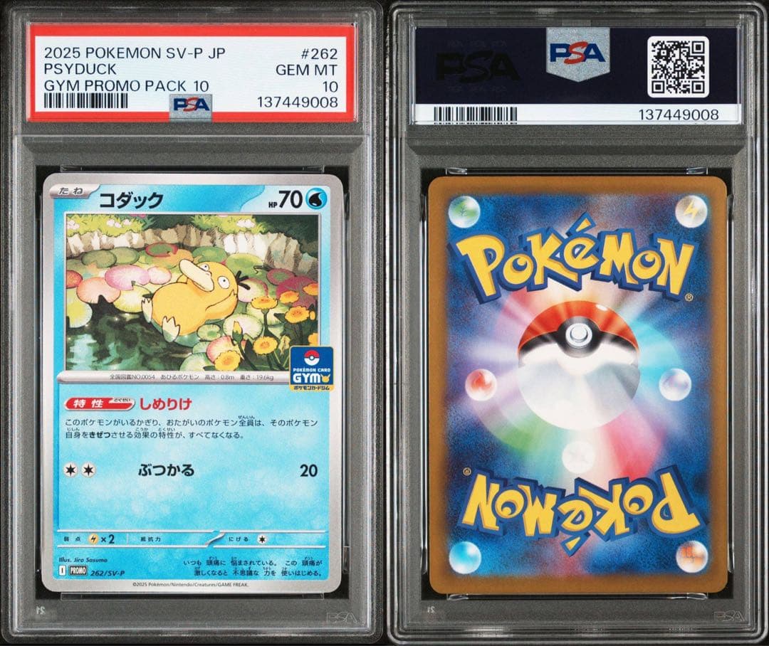 PSA10 コダック　プロモ　しめりけ　262/SV-P 5連番