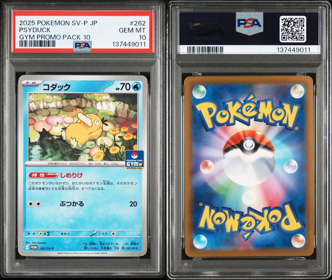 PSA10 コダック　プロモ　しめりけ　262/SV-P 5連番