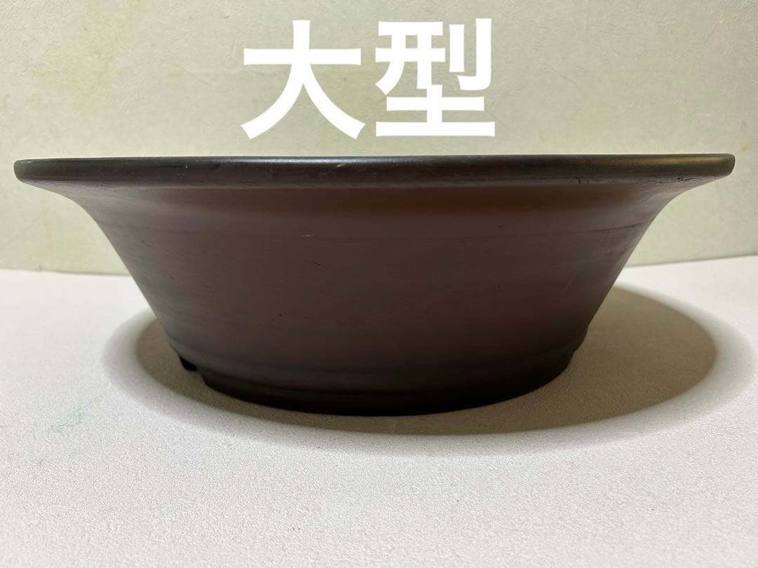 大型　盆栽鉢　松柏　雑木　皐月