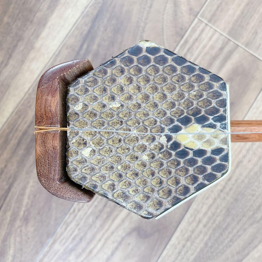 二胡 蛇皮 中国 民謡 民族楽器