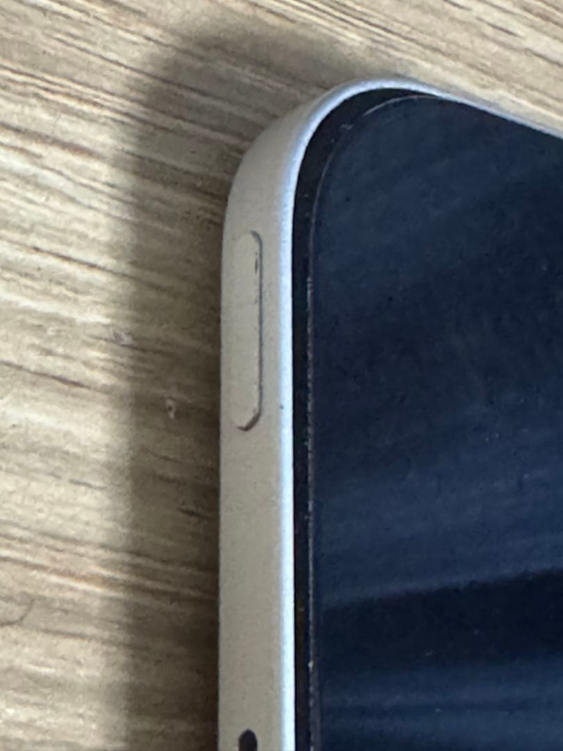 iPad Pro 2022年モデル　シルバー　画面割れなし