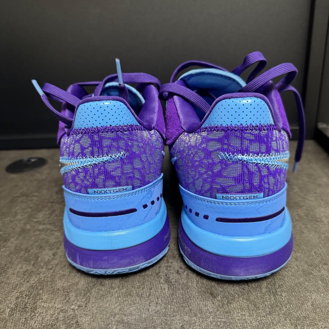 NIKE ZM LEBRON NXXT GEN AMPD バスケ シューズ 28