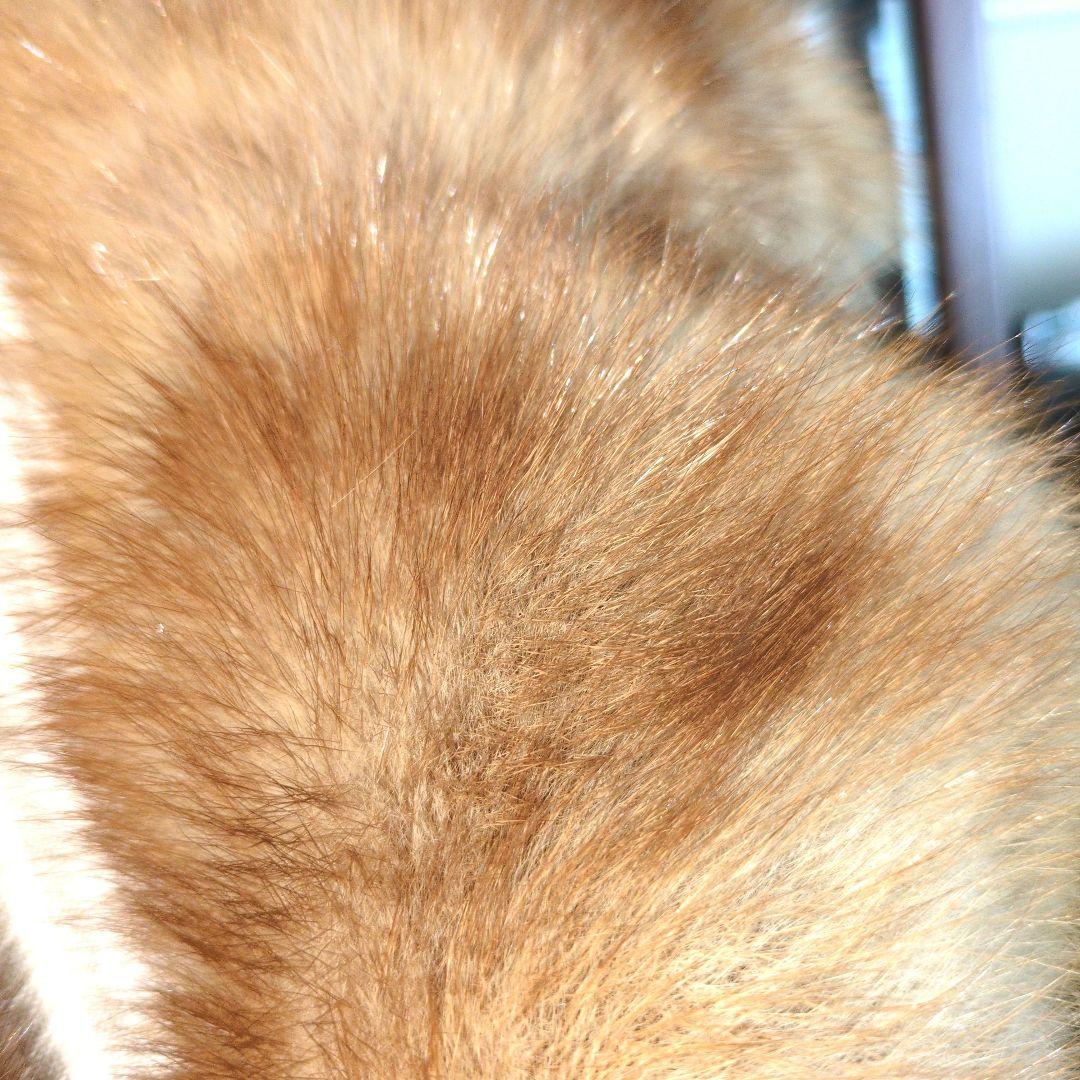 ⭕️ロシアン セーブルロングジレ(エンバ製)