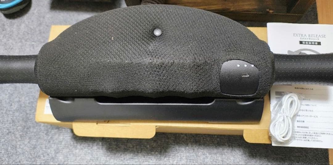 エクストラリリース GACKT