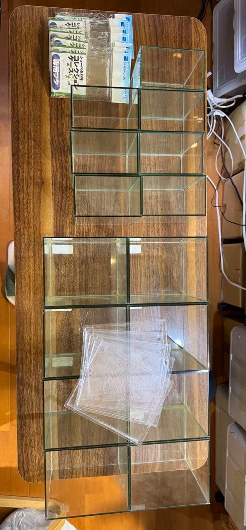 ベタコレクションケース　M7個　L8個　フタ付き