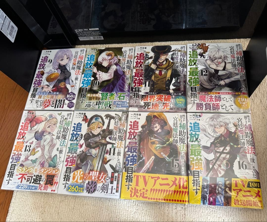 味方が弱すぎて補助魔法に徹していた宮廷魔法師、追放されて最強を目指す全巻1~16