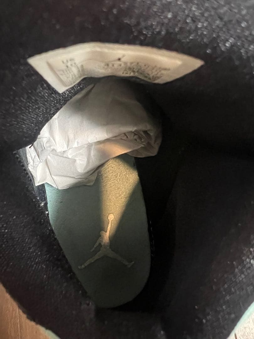 エアージョーダン13  Green 28.0