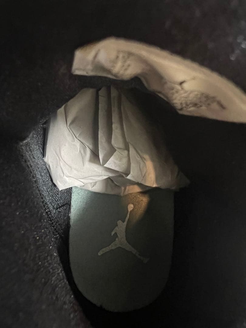 エアージョーダン13  Green 28.0