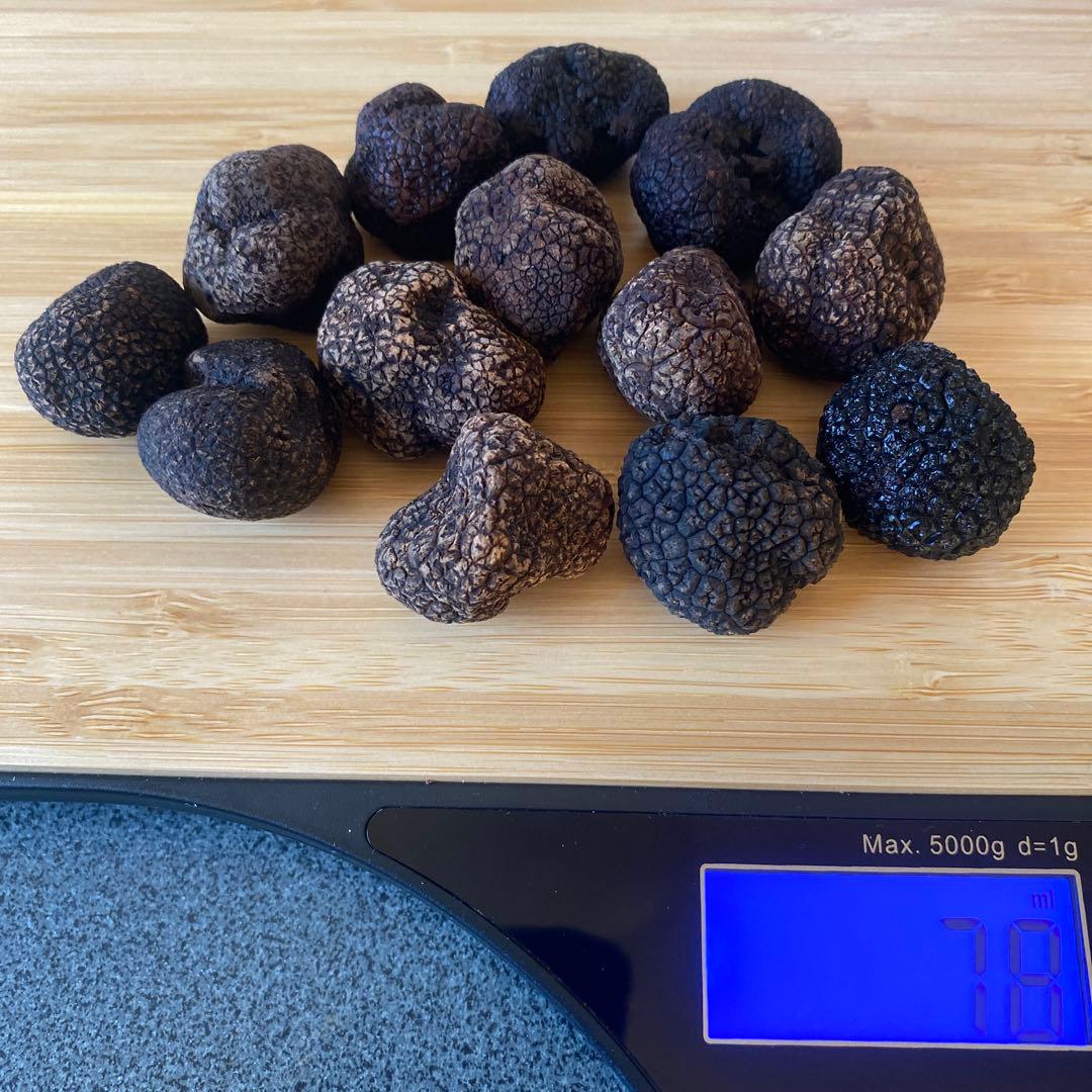 国産　山梨県産　天然黒トリュフ　中 約78g