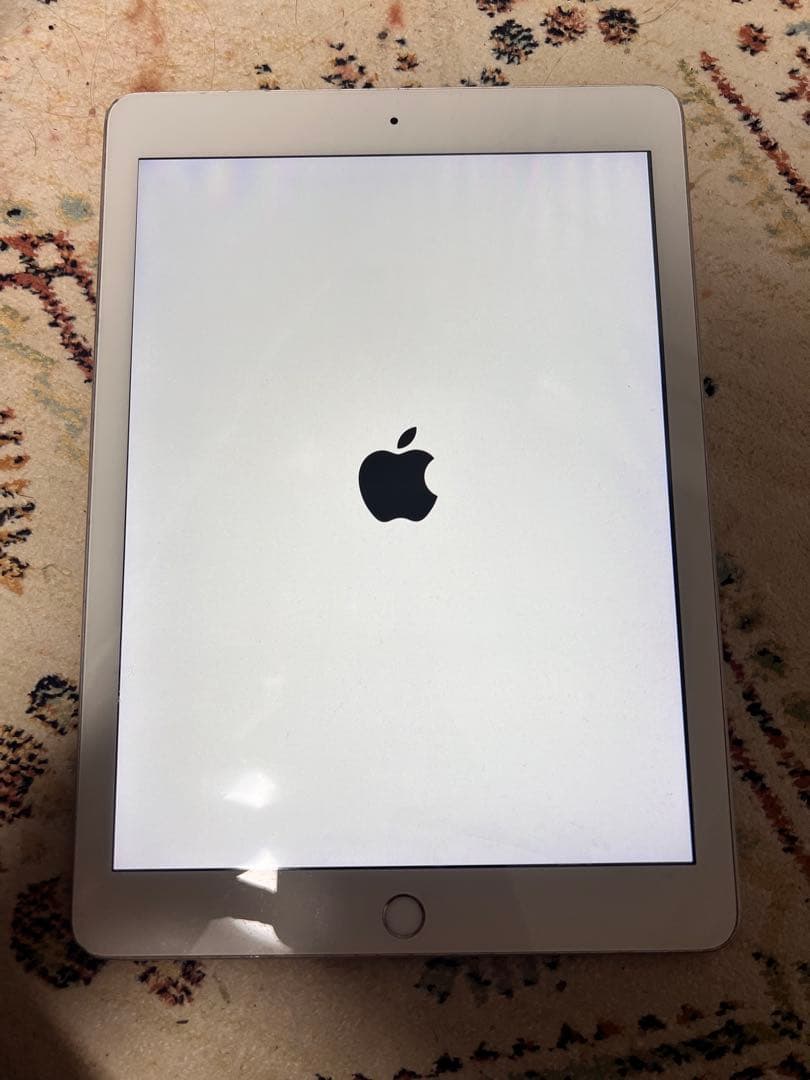 『ジャンク品』Apple iPad 本体 りんごループ