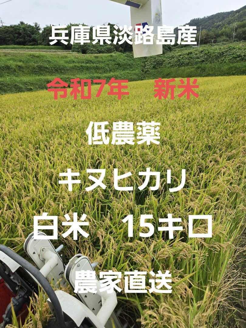 【令和7年新米】兵庫県淡路島産キヌヒカリ精米後15キロ(低農薬白米)農家直送