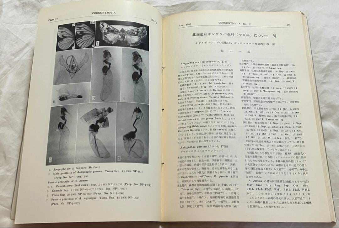 日本鱗翅目同好会 会報1967年～1974年ファイリング 研究者用 調査資料