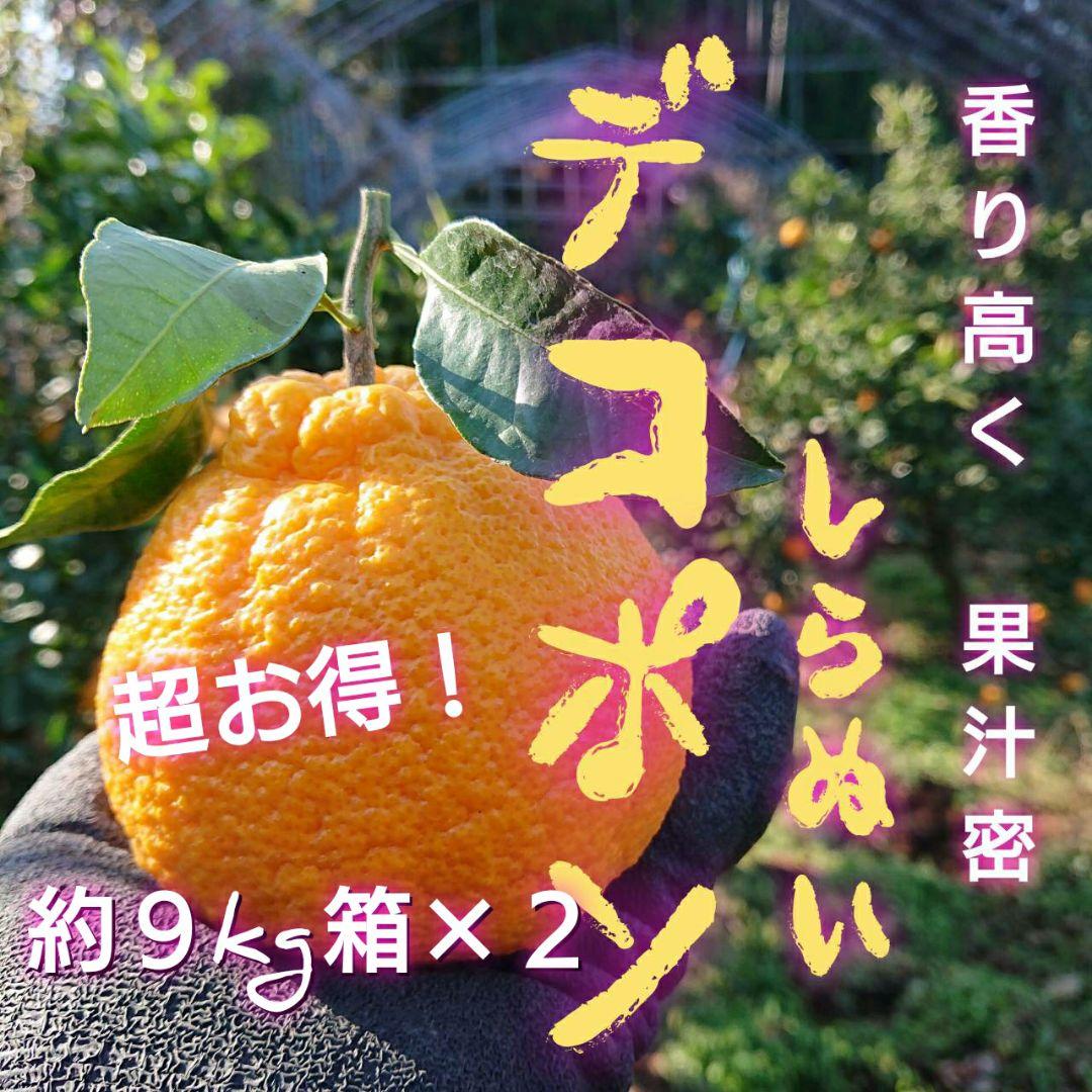 超お得な 18kg 熊本産不知火デコポン 味恋みかん 超人気(^o^)
