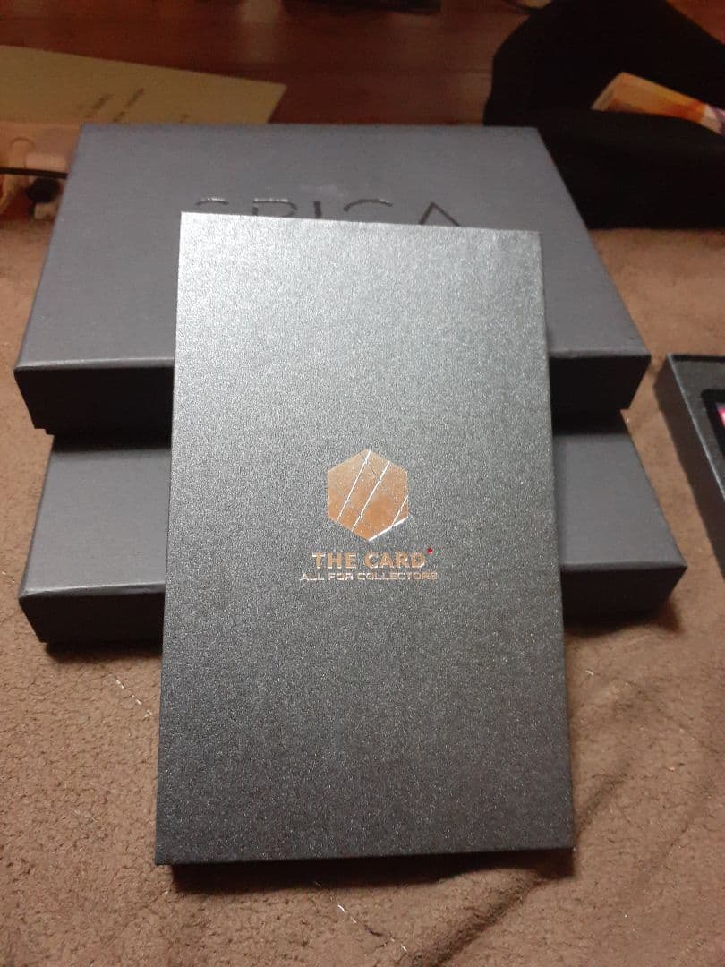 ポケモンカード ピカチュウ　テラスタルフェスex UR PSA10