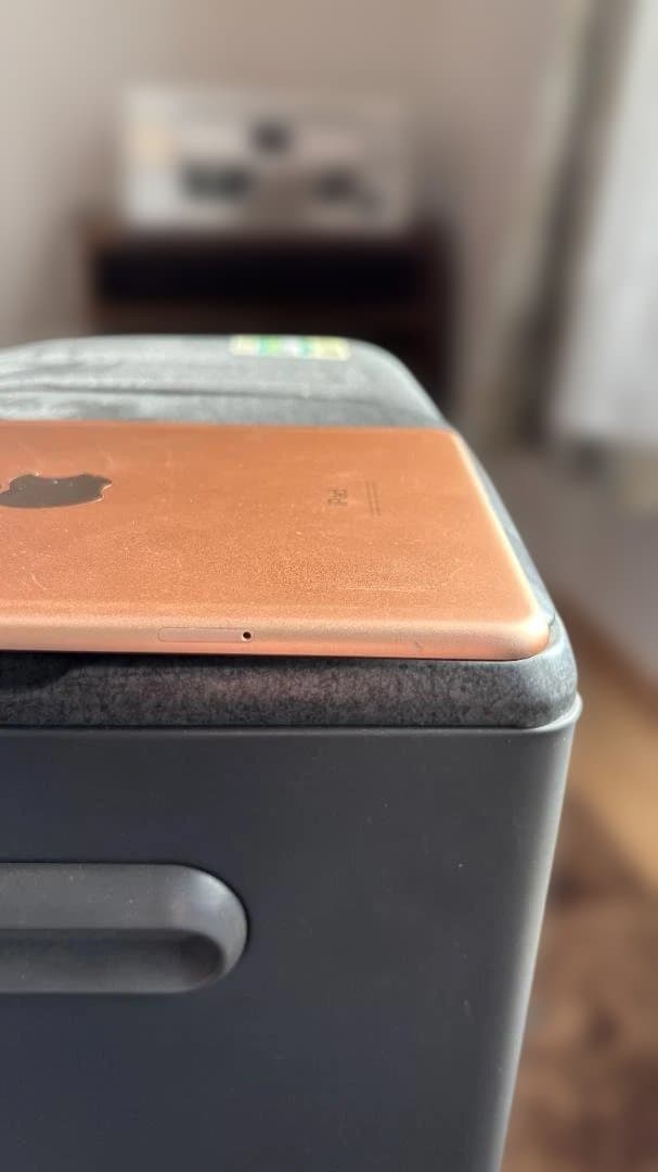 iPad ミニ５セルラー　64GB ゴールド SIMフリー