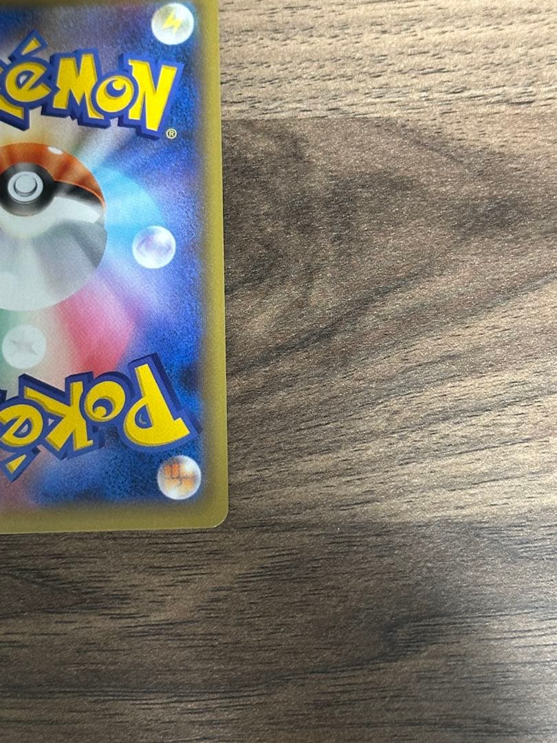 うみ カメックス×2枚