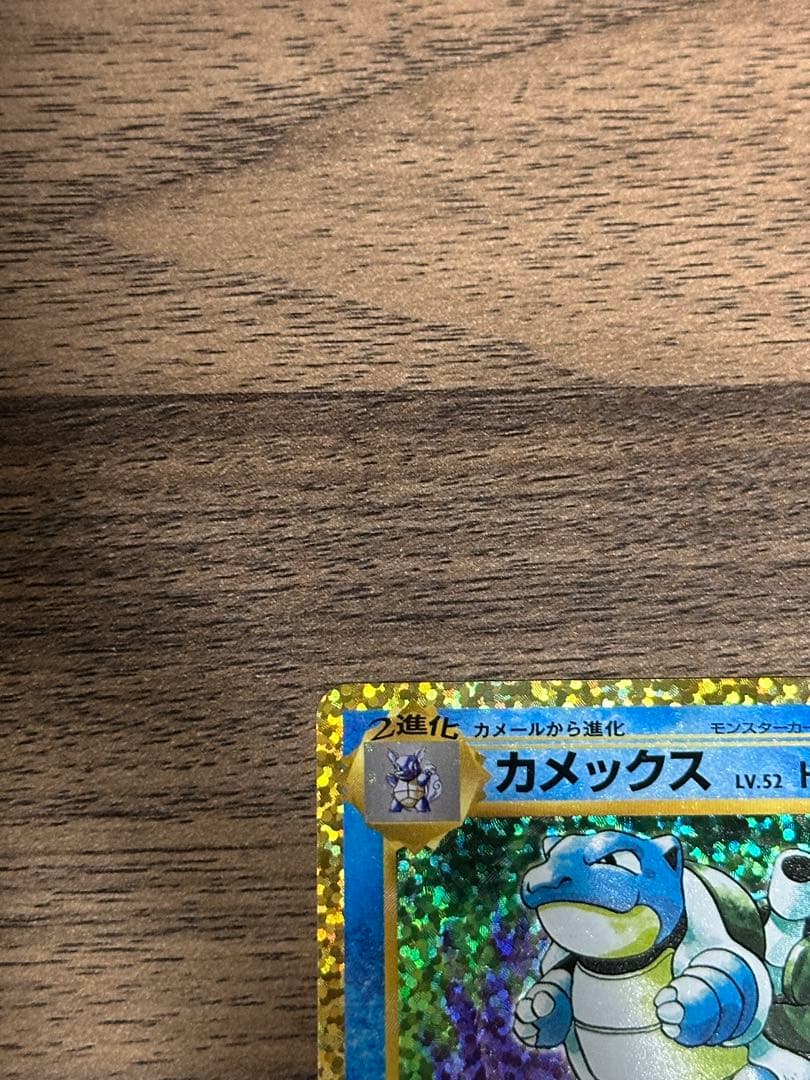 うみ カメックス×2枚