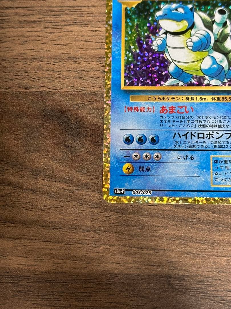 うみ カメックス×2枚