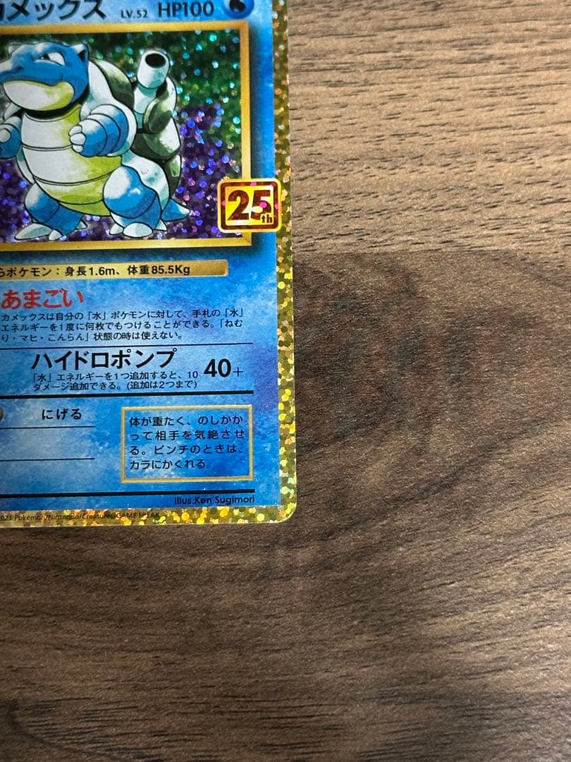 うみ カメックス×2枚