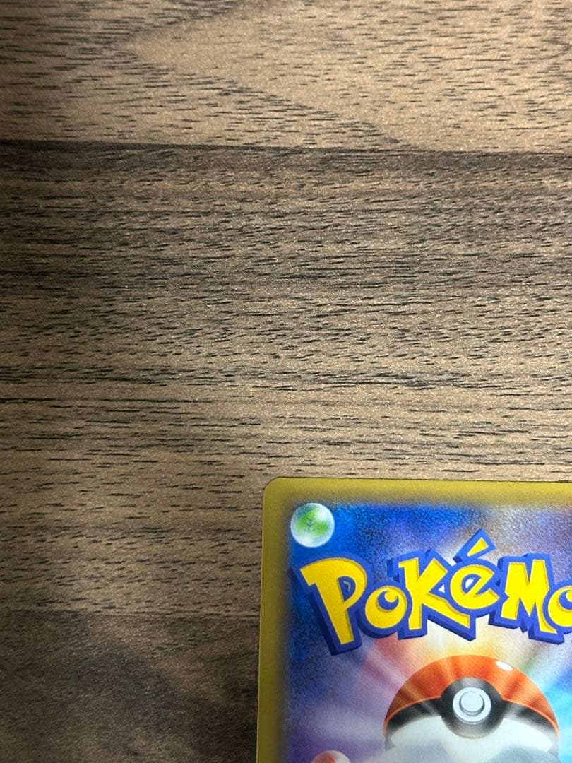 うみ カメックス×2枚