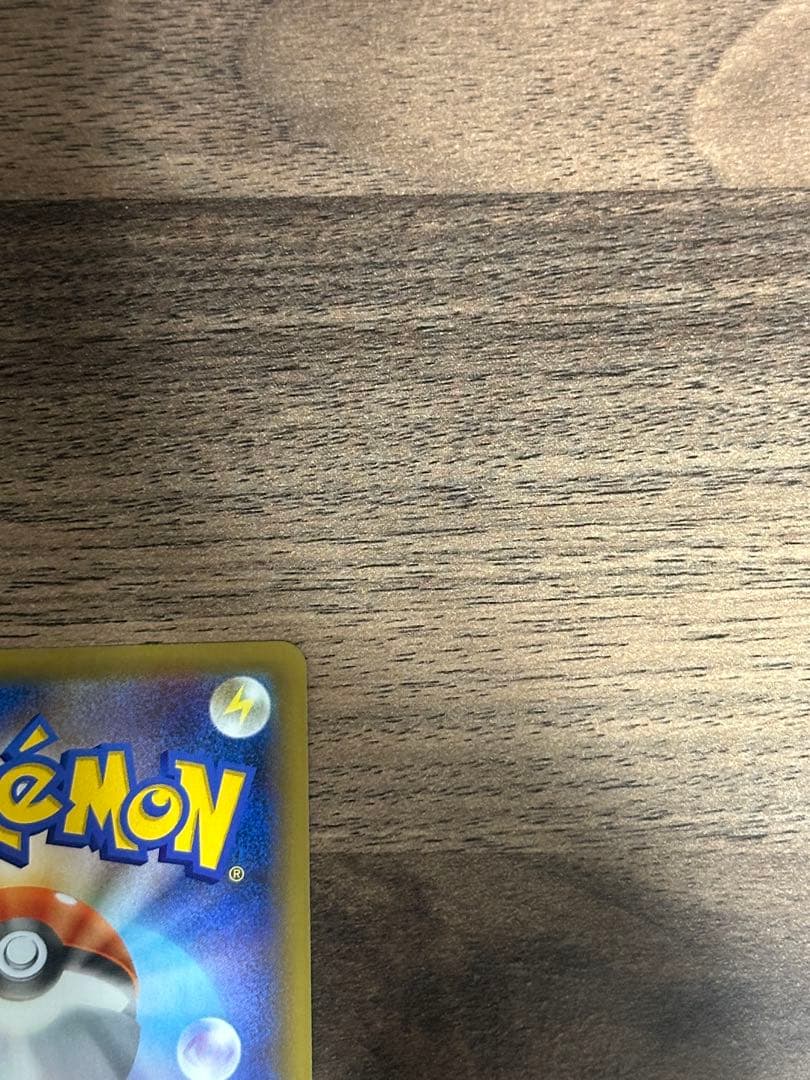 うみ カメックス×2枚