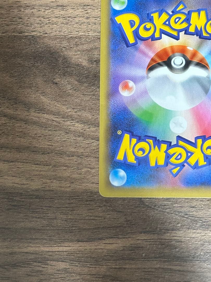 うみ カメックス×2枚