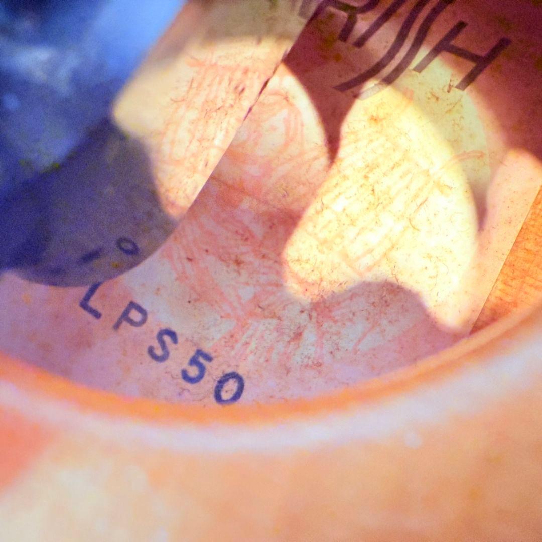 LYRISH(ライリッシュ) LPS50大正琴　 ピックアップ付き