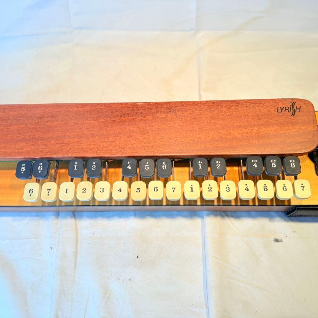 LYRISH(ライリッシュ) LPS50大正琴　 ピックアップ付き