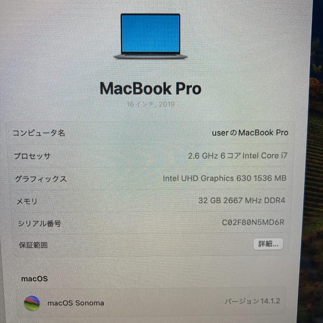 Apple MacBook Pro Core i7 ノートPC (B19)